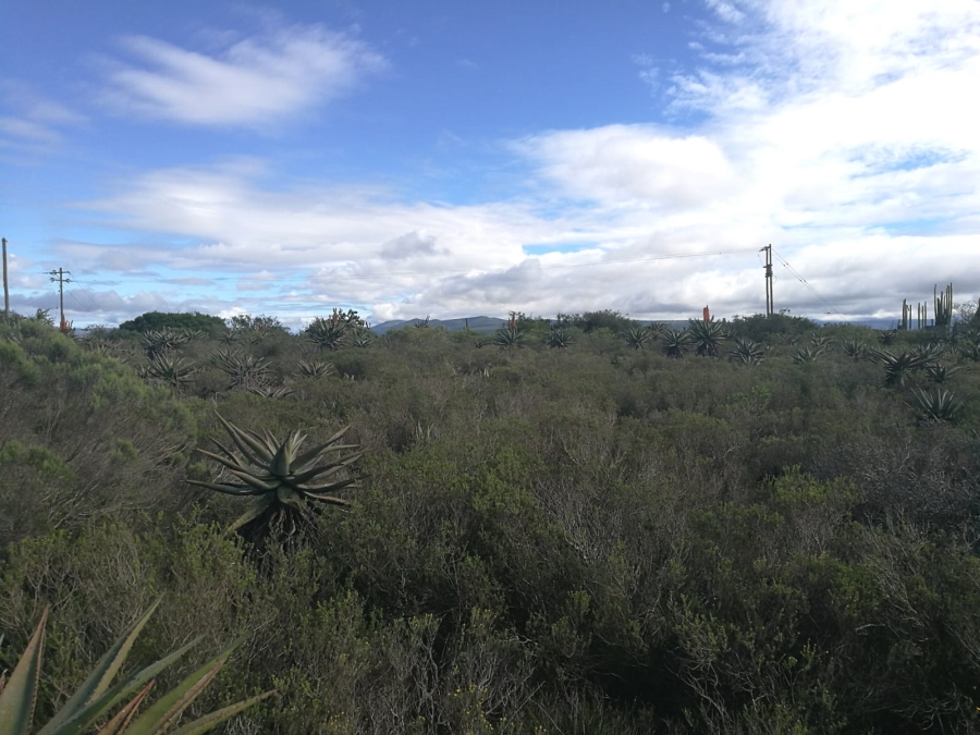 3 Bedroom Property for Sale in Uitenhage Rural Eastern Cape
